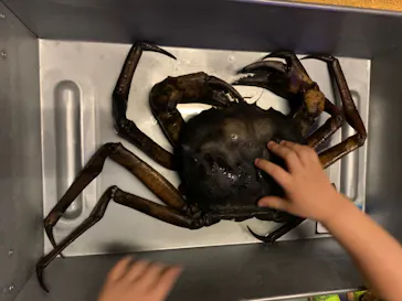 横浜・八景島シーパラダイスに投稿された画像（2022/1/23）