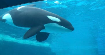 名古屋港水族館に投稿された画像（2022/1/23）