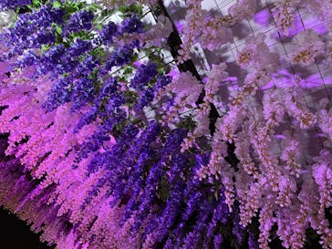 東京メガイルミに投稿された画像（2022/1/24）