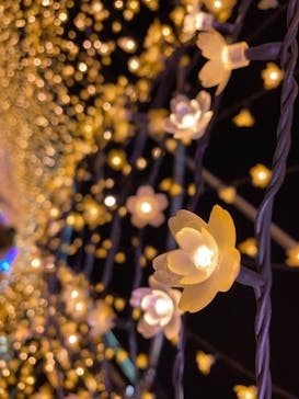 東京メガイルミに投稿された画像（2022/1/24）