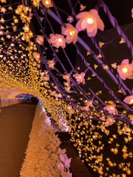 東京メガイルミに投稿された画像（2022/1/24）