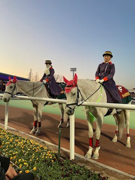 東京メガイルミに投稿された画像（2022/1/24）