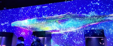 マクセル アクアパーク品川に投稿された画像（2022/1/24）