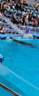 マクセル アクアパーク品川に投稿された画像（2022/1/24）