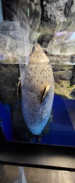 マクセル アクアパーク品川に投稿された画像（2022/1/24）