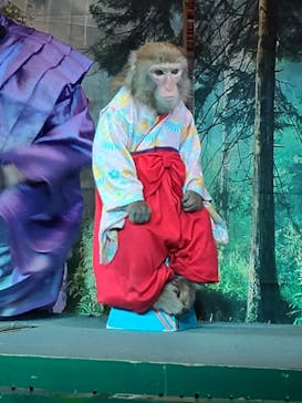 おさるランド＆アニタウン　日光さる軍団劇場に投稿された画像（2022/1/24）