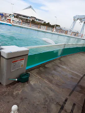 横浜・八景島シーパラダイスに投稿された画像（2022/1/24）