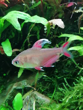 すみだ水族館に投稿された画像（2022/1/24）