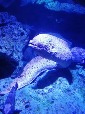 すみだ水族館に投稿された画像（2022/1/24）