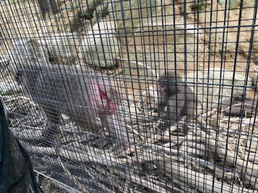 沖縄こどもの国に投稿された画像（2022/1/24）