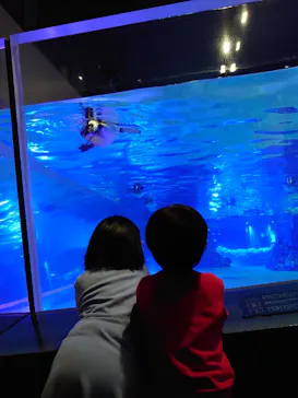 すみだ水族館に投稿された画像（2022/1/24）