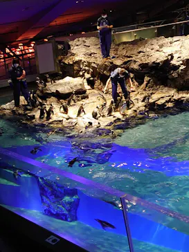 すみだ水族館に投稿された画像（2022/1/24）