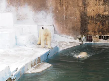 天王寺動物園に投稿された画像（2022/1/24）