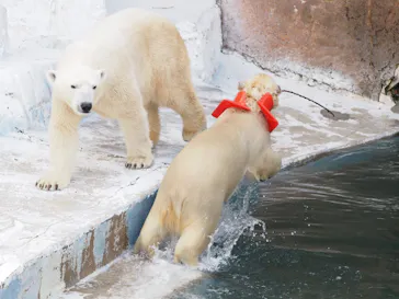 天王寺動物園に投稿された画像（2022/1/24）