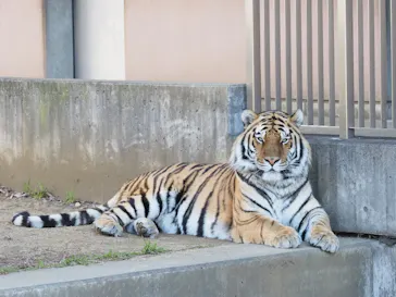 天王寺動物園に投稿された画像（2022/1/24）