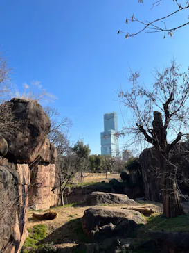 天王寺動物園に投稿された画像（2022/1/24）