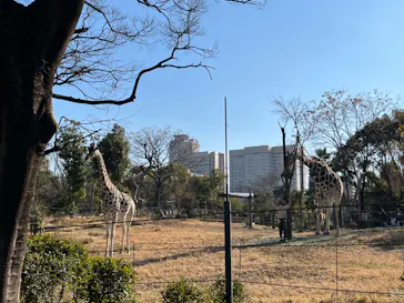天王寺動物園に投稿された画像（2022/1/24）