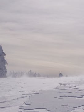 横手山・渋峠スキー場に投稿された画像（2022/1/24）