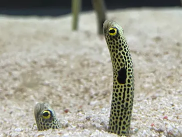 すみだ水族館に投稿された画像（2022/1/24）