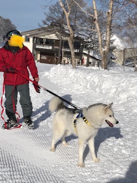 野沢温泉スキー場に投稿された画像（2022/1/24）