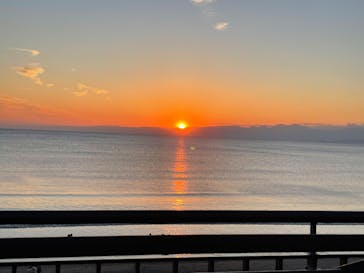 新江ノ島水族館に投稿された画像（2022/1/24）