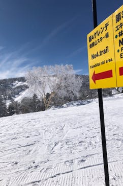 志賀高原マウンテンリゾートに投稿された画像（2022/1/24）