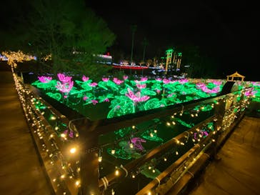 美らヤシパークオキナワ・東南植物楽園に投稿された画像（2022/1/24）