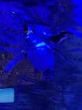 すみだ水族館に投稿された画像（2022/1/25）