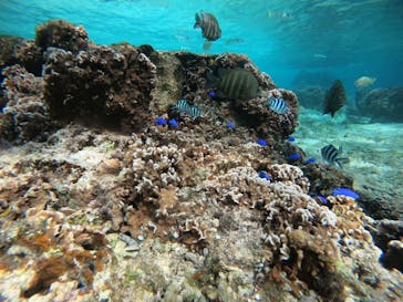 武藤潜水に投稿された画像（2022/1/25）