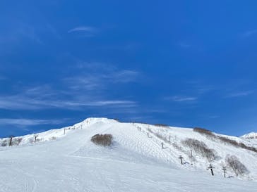 白馬八方尾根スキー場に投稿された画像（2022/1/25）