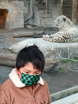 東武動物公園に投稿された画像（2022/1/25）