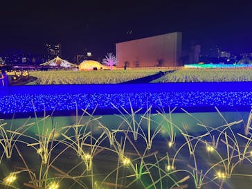 東京メガイルミに投稿された画像（2022/1/25）