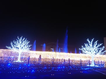 東京メガイルミに投稿された画像（2022/1/25）