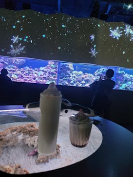 マクセル アクアパーク品川に投稿された画像（2022/1/25）