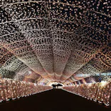 東京メガイルミに投稿された画像（2022/1/25）