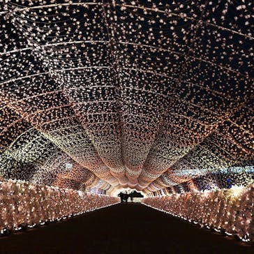 東京メガイルミに投稿された画像（2022/1/25）