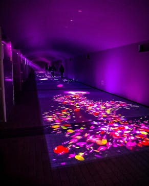 東京メガイルミに投稿された画像（2022/1/25）