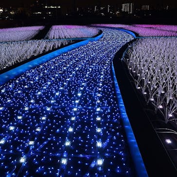 東京メガイルミに投稿された画像（2022/1/25）