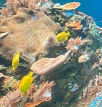 株式会社Gに投稿された画像（2022/1/25）