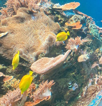 株式会社Gに投稿された画像（2022/1/25）