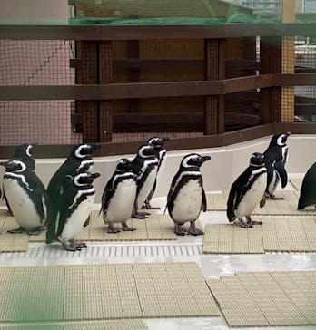 株式会社Gに投稿された画像（2022/1/25）