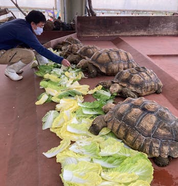 株式会社Gに投稿された画像（2022/1/25）