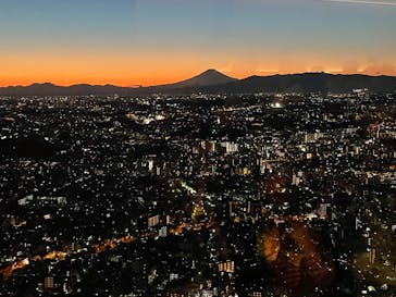 横浜ランドマークタワー 69階展望フロア スカイガーデンに投稿された画像（2022/1/26）