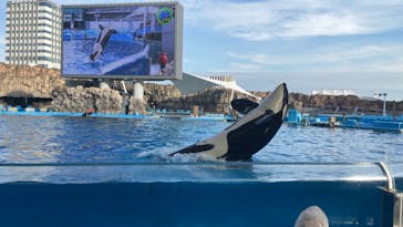 名古屋港水族館に投稿された画像（2022/1/26）