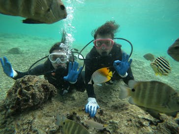 武藤潜水に投稿された画像（2022/1/26）