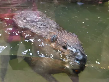 神戸どうぶつ王国に投稿された画像（2022/1/26）