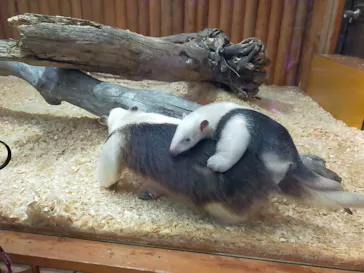 神戸どうぶつ王国に投稿された画像（2022/1/26）