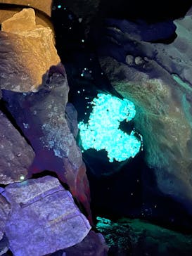 あぶくま洞に投稿された画像（2022/1/26）