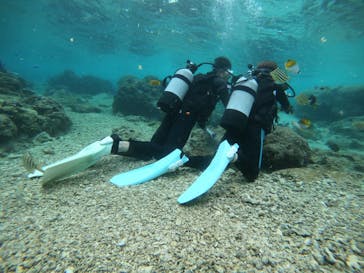 武藤潜水に投稿された画像（2022/1/26）