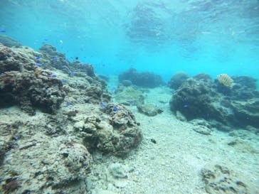 武藤潜水に投稿された画像（2022/1/26）